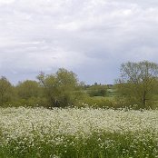 グランチェスター　5月23日