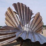 オールドバラ　マギー・ハンブリング作　Scallop　9月13日