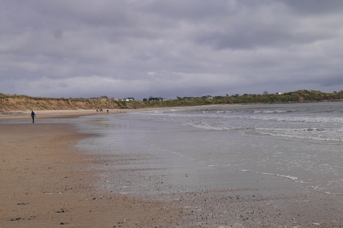 220426_alnmouth_8