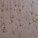 220426_alnmouth_2