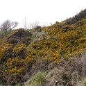 220426_alnmouth_3