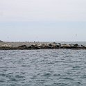 220428_seals